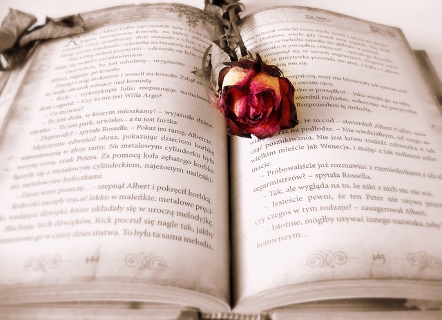 List Of Some Of The Best Romantic Novels To Read Now 
